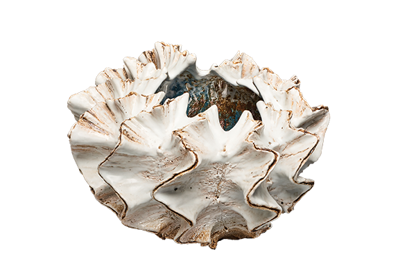 Shell Form (Kai no katachi), 2015. By Koike Shoko (Japanese, b. 1943). Stoneware with glaze. Promised gift of Dr. Phyllis A. Kempner and Dr. David D. Stein.

